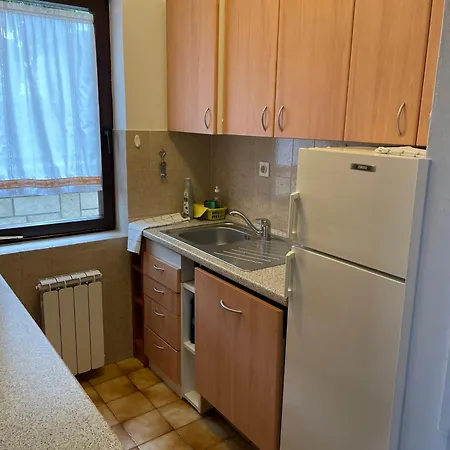 Apartment Olea