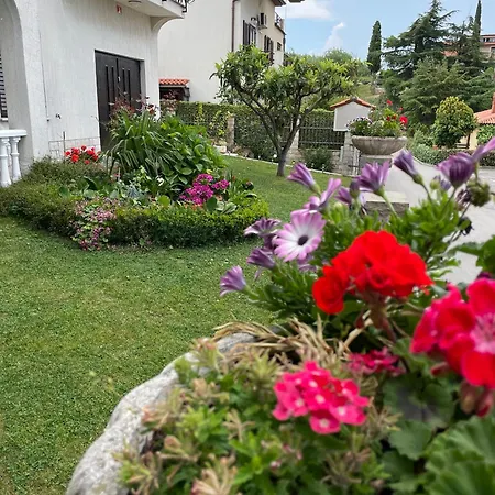 Olea Apartment